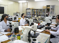 病理・細胞診学的検査