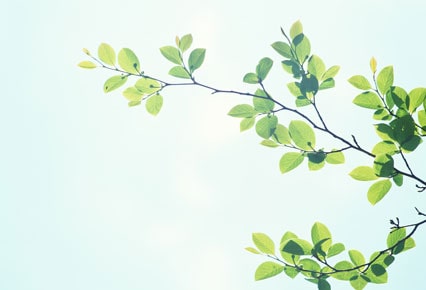 環境測定分析事業