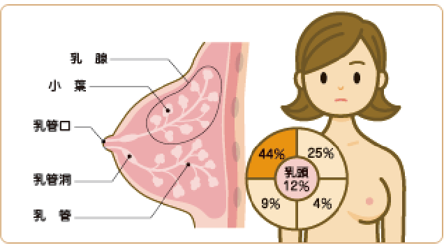 毎月のセルフチェックを習慣に！